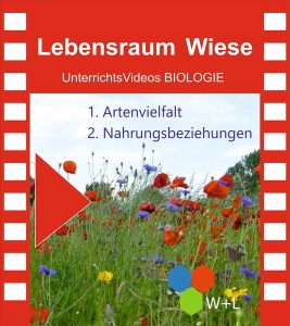 Unterrichts-Video_Lebensraum Wiese.jpg